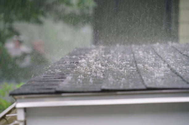 Best Skylight Installation and Repair  in Winslow, AZ
