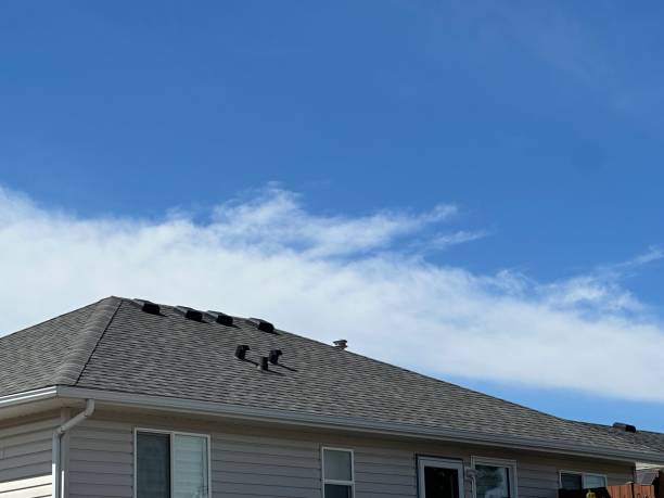 Best Roof Installation  in Winslow, AZ